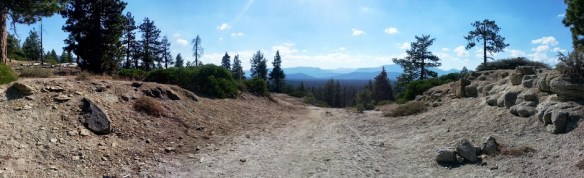 Powerlines trail, how I love thee