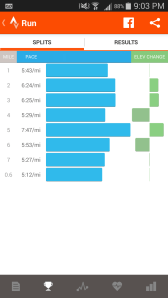 Pace seems to be directly correlated with elevation... 