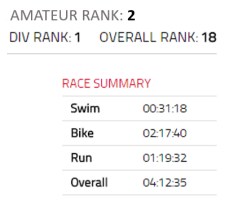 Vineman finish stats